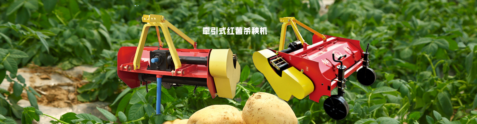 产品banner